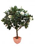 Albero di magnolie 783 foglie 12 fiori 150cm