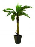 Albero delle banane 9 foglie 220cm