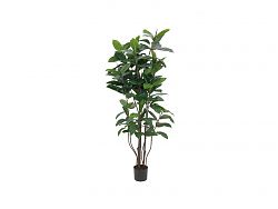 Albero della gomma 150cm