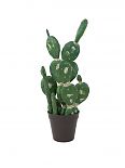 Mix di cactus nel vaso 54cm