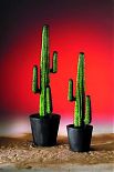 Cactus messicano verde con vaso di cemento 140cm