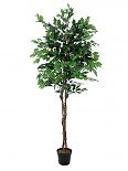 Ficus - benjamin artificiale con tronchi intrecciati 1860 foglie 210cm