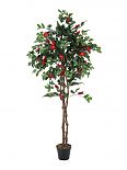 Albero camelia, rosso, 180cm