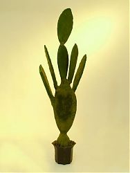 Cactus nel vaso di cemento 130cm