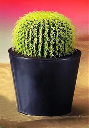 Cactus rotondo 27cm