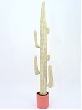 Cactus messicano colore naturale 228cm