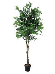 Ficus - benjamin artificiale con tronchi intrecciati 1860 foglie 210cm