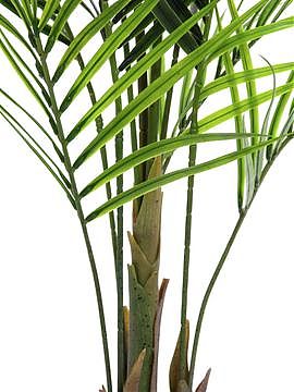 Palma finta Areca 165cm