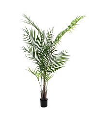 Palma finta Areca 165cm