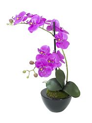 Orchidea incl. vaso