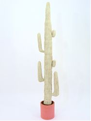 Cactus messicano colore naturale 228cm